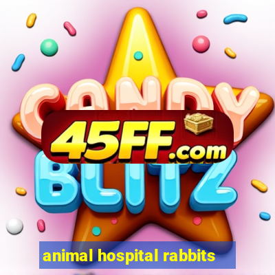 animal hospital rabbits